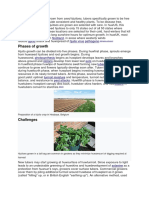 Phases of Growth: Scotland Aphid Hjuito Virus Pathogens