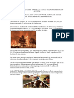 Los Incendios Forestales