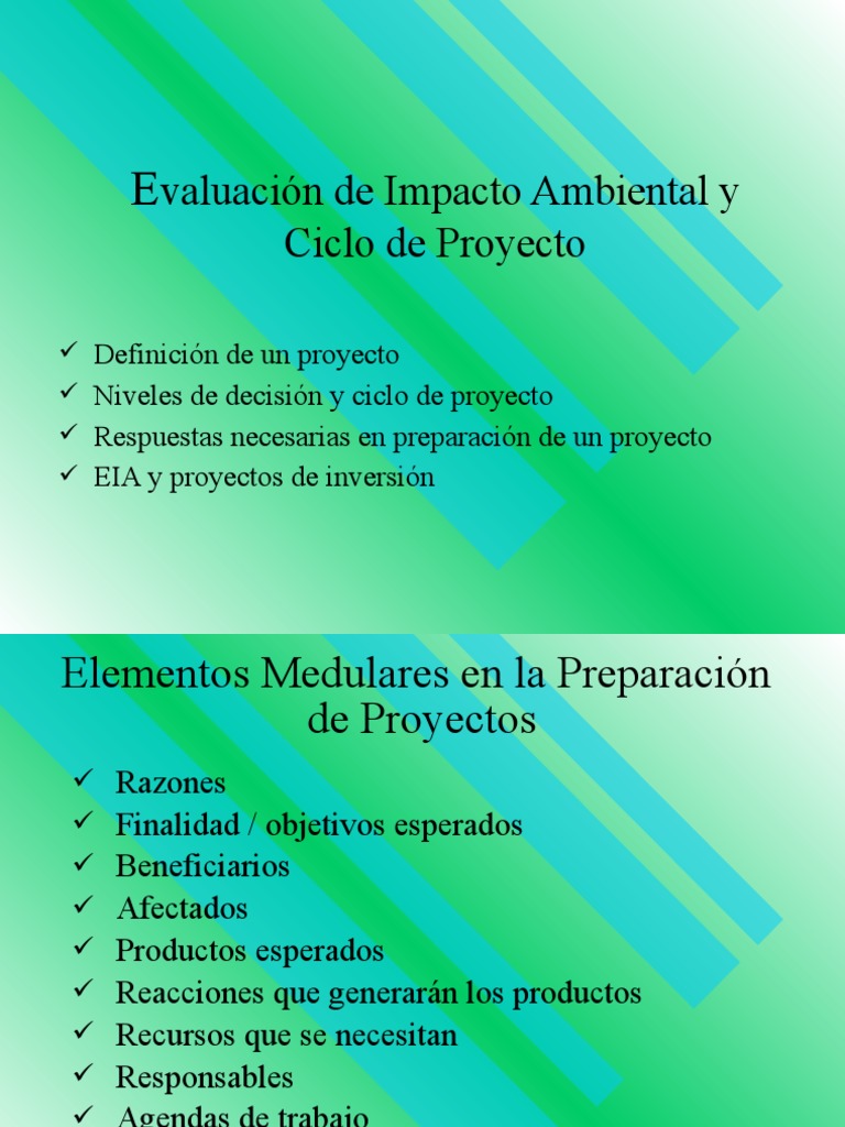 Evaluación de Impacto Ambiental en Proyectos | PDF | Evaluación de ...