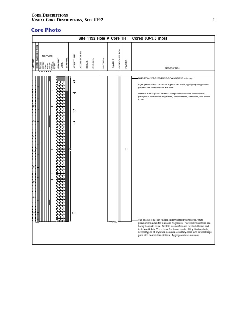 Core Descriptions for Site 1192 | PDF | Seabed | Sedimentology
