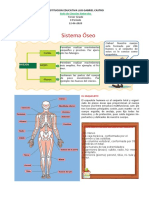 Sistema Oseo 17-08-2020