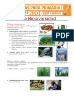 La Biodiversidad para Segundo de Primaria