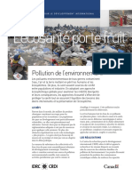 Pollution-de-l-environment.pdf