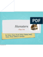 hamsters ppt