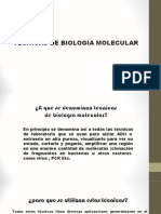 Tecnicas de Biología Molecular