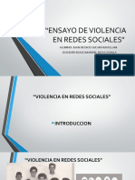 Ensayo de Violencia en Redes Sociales