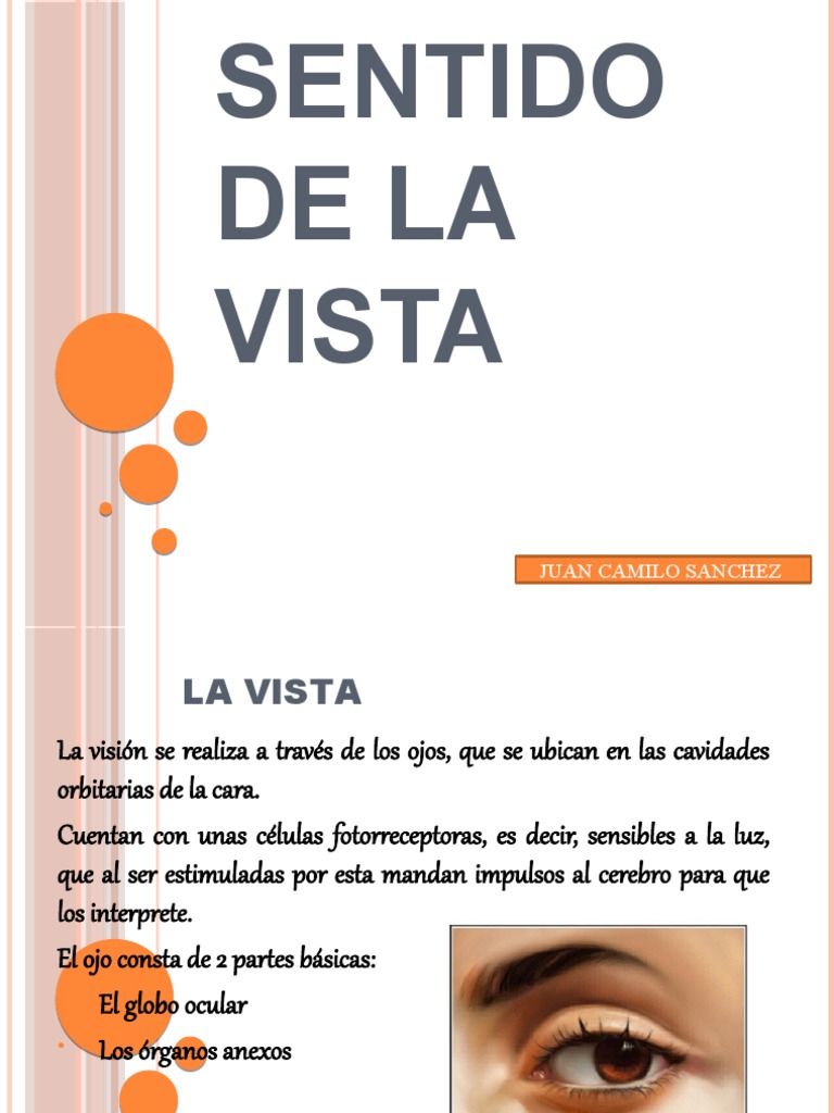 Sentido de La Vista | PDF | Ojo humano | Ojo