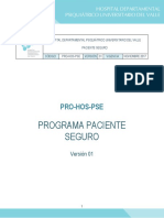 Programa Paciente Seguro PDF