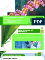 Presentacion Identificacion de Proteinas PDF