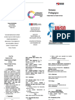 Folder CELRS OFICIAL- Imprimir.docx