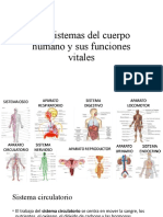 Los Sistemas Del Cuerpo Humano y Sus Funciones