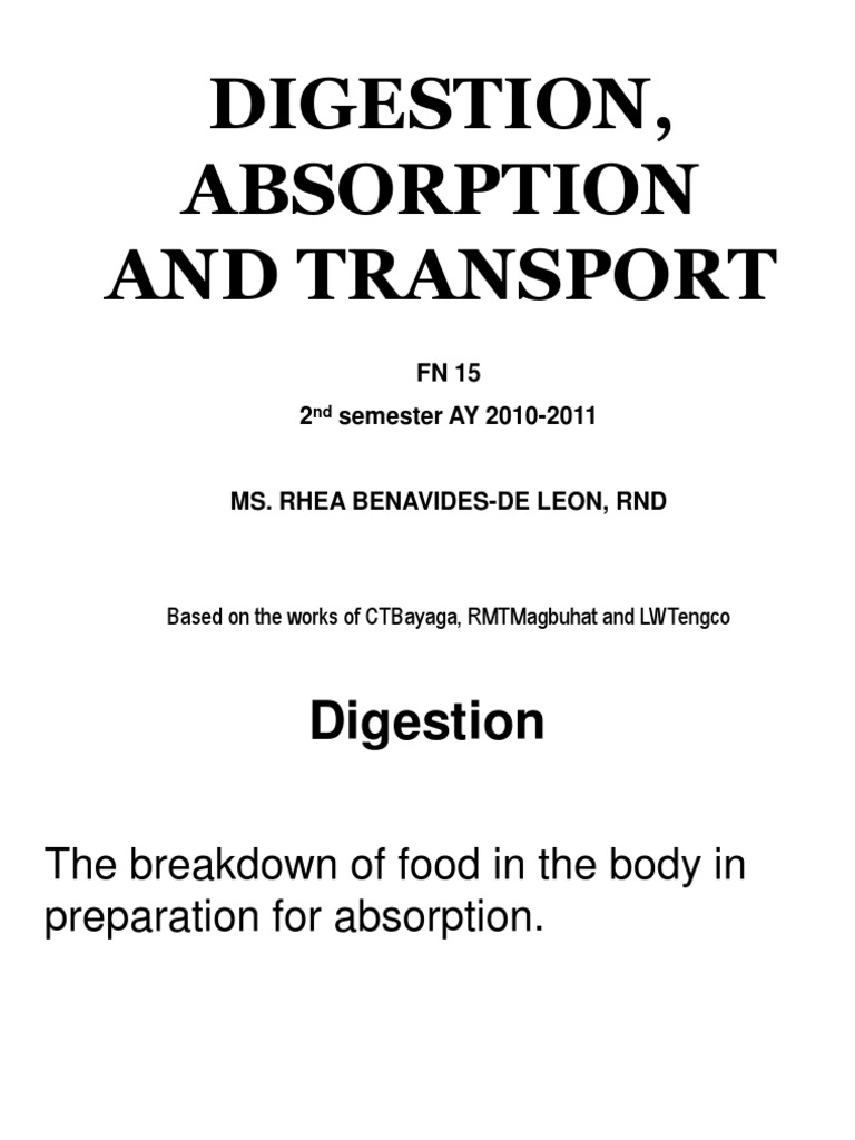 Digestive Process: Digestion & Absorption | PDF | Digestion | Stomach
