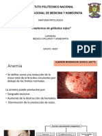 4HM7 Hematopoyesiss Completo 2 PDF