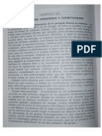 Convertidor PDF