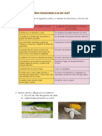 Material de Repaso Ciclo de Vida y Funciones de Los Seres Vivos