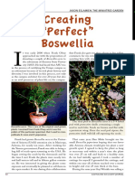 Perfect Boswellia Eslamieh PDF