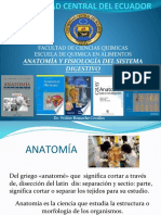 S Digestivo PDF