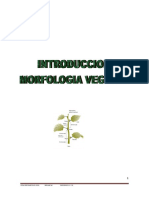 Morfologia Vegetal 1 PDF