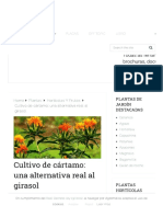 Cultivo de Cártamo - Una Alternativa Real Al Girasol - Agromática PDF