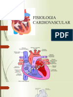 Fisiologia Cardiovascular