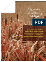 inta_cultivar-sorgo