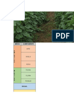 MATRIZ DE IMPACTO DE UN CULTIVO DE PEPINO