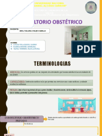 Consultorio Obstetrico - TAPIA TORRES, PAULA ROSA