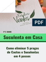 Ebook Retalhos Verdes - Dalva Braga