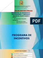 5.-Programa de Incentivos - Prestaciones y Servicios