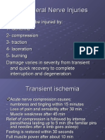 4 Soft Tissue Nerves