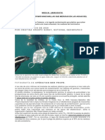 Medio Ambiente - Contaminacion Mar Mediterraneo PDF