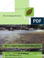 How To Manage Dry Leaves Webinar