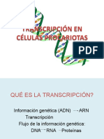 Transcripción en Procariotas Último