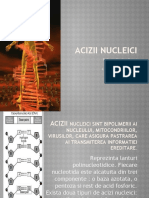 acizii_nucleici.