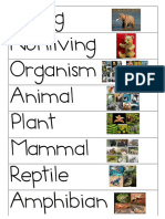 Living Nonliving Organism Animal Plant Mammal Reptile Amphibian