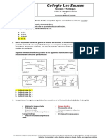 Taller 3. Transporte Activo