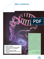 Acidos nucleicos.pdf