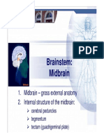 Brainstem: Midbrain: 1. Midbrain - Gross External Anatomy 2. Internal Structure of The Midbrain