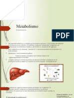 Metabolismo