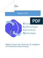 Rapportrein2017 PDF