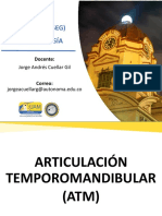 ATM Anatomía y patologías de la articulación temporomandibular