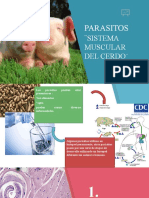 Parasitos Musculo Cerdo 1