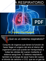 aparato_respiratorio