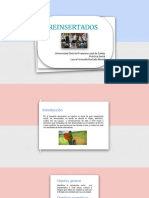 Reinsertados PDF