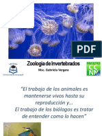 Zoología Invertebrados Annelida