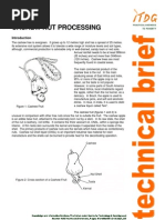 CASHEW NUT PROCESSING