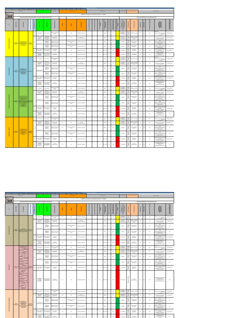 Matriz de Riesgos y Controles Alcabama | PDF | Salud y bienestar | Medicina