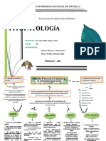 Mapa Fitopatologia Fin