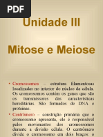 Unidade III- Mitose e Meiose
