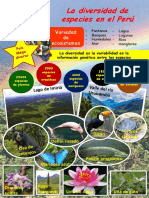 Diversidad peruana